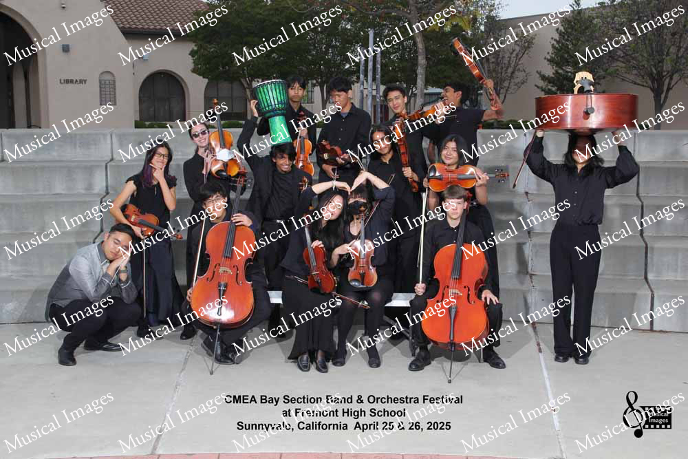 Musical Images